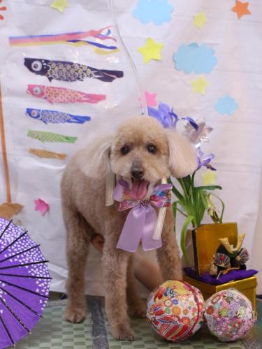 20240525こたろうくん 